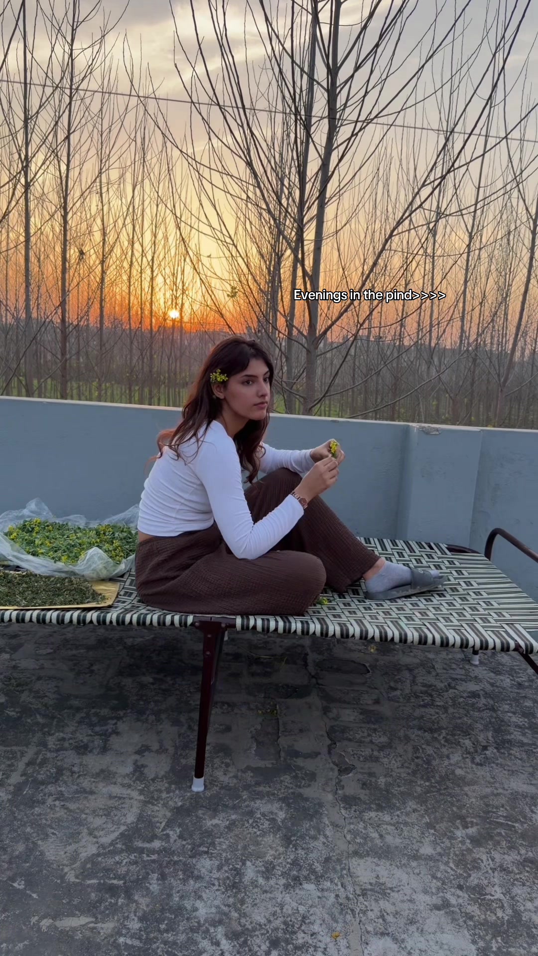 @Anmol Guraya