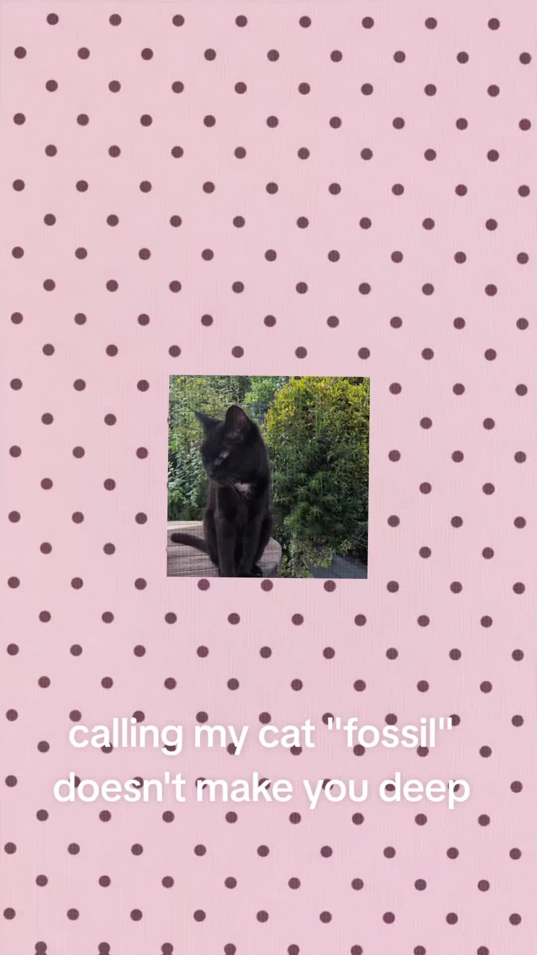 @holls🤍🪽