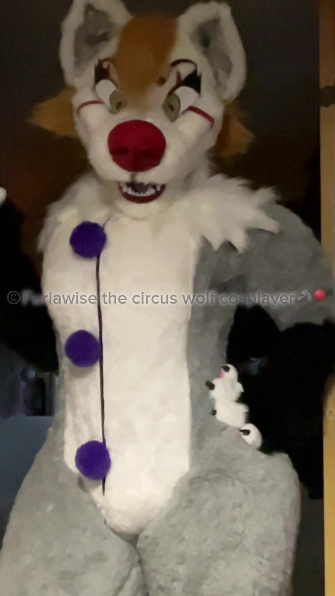 @The original Furlawise🐺🎈