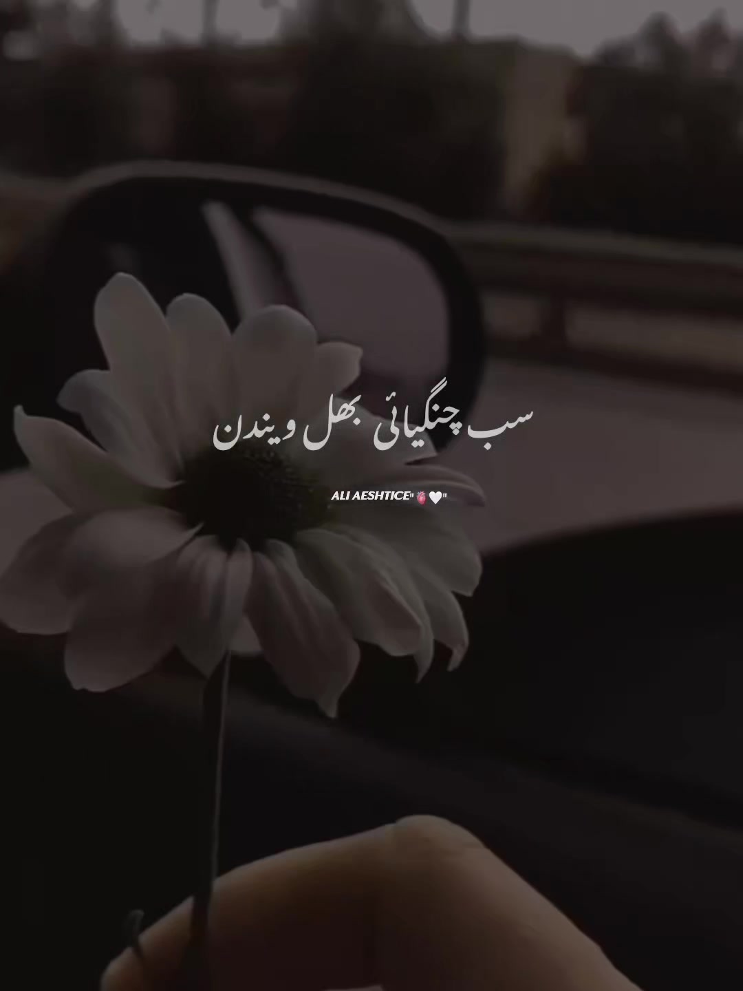@𝗔,𝗥 ♡