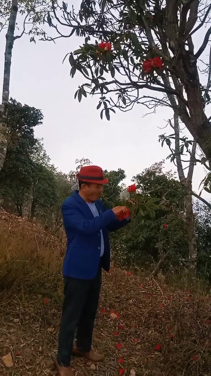 @AshishSuryabanshi123