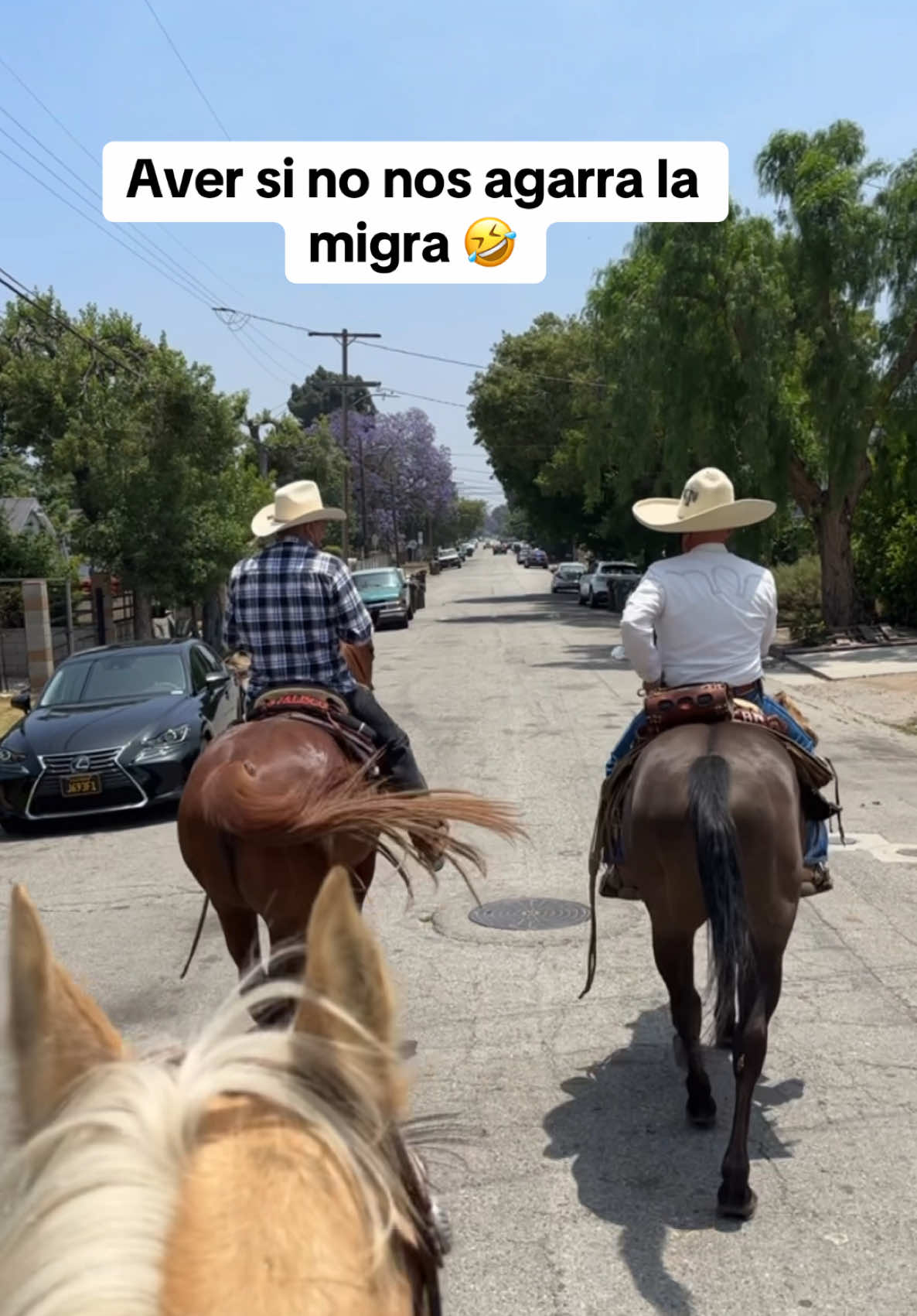 @lgd_323 🇲🇽