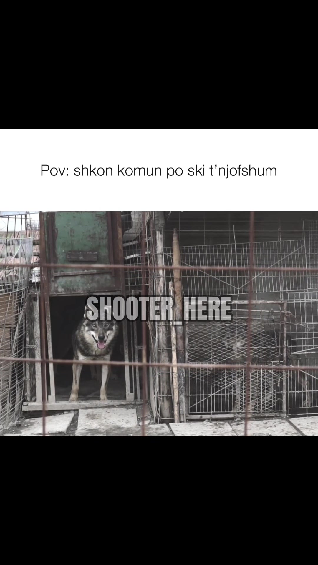@𝐒𝐇𝐎𝐎𝐓𝐄𝐑