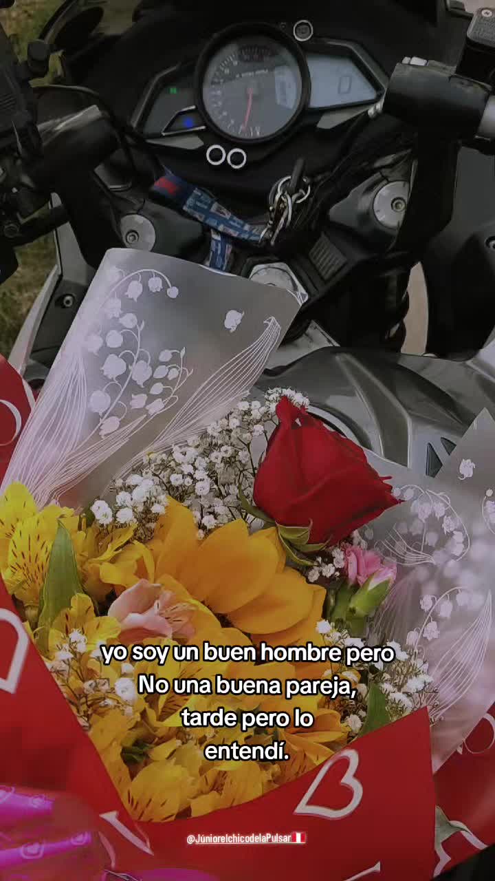 @JúniorelchicodelaPulsar 🇵🇪