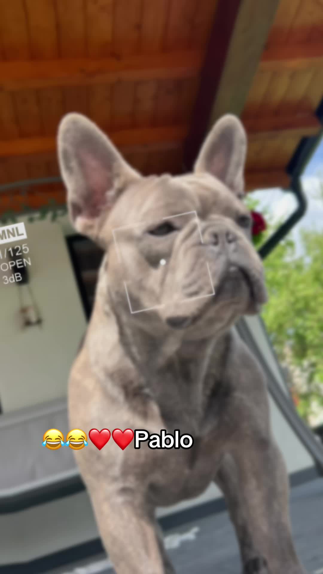 @🌺Rebeca 🌺