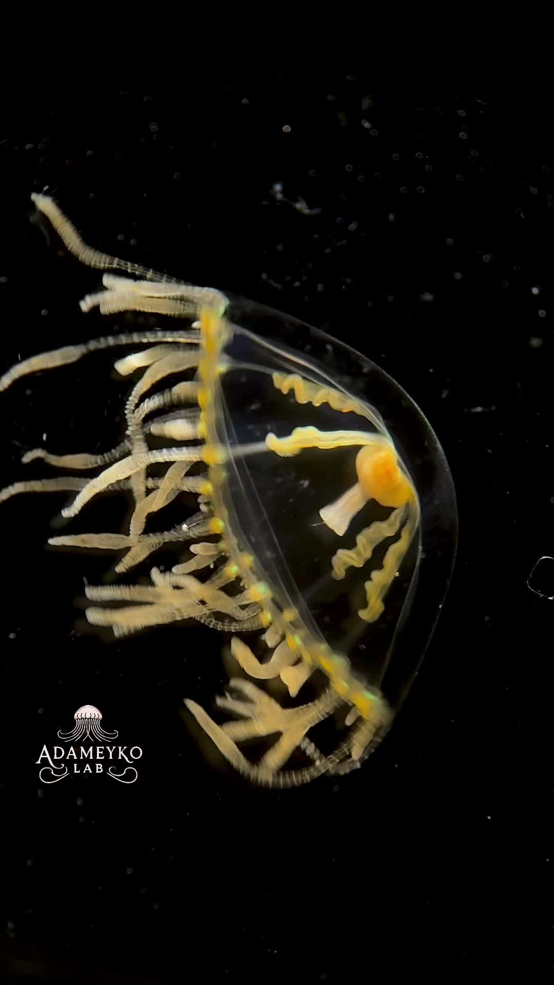 @The_story_of_a_biologist