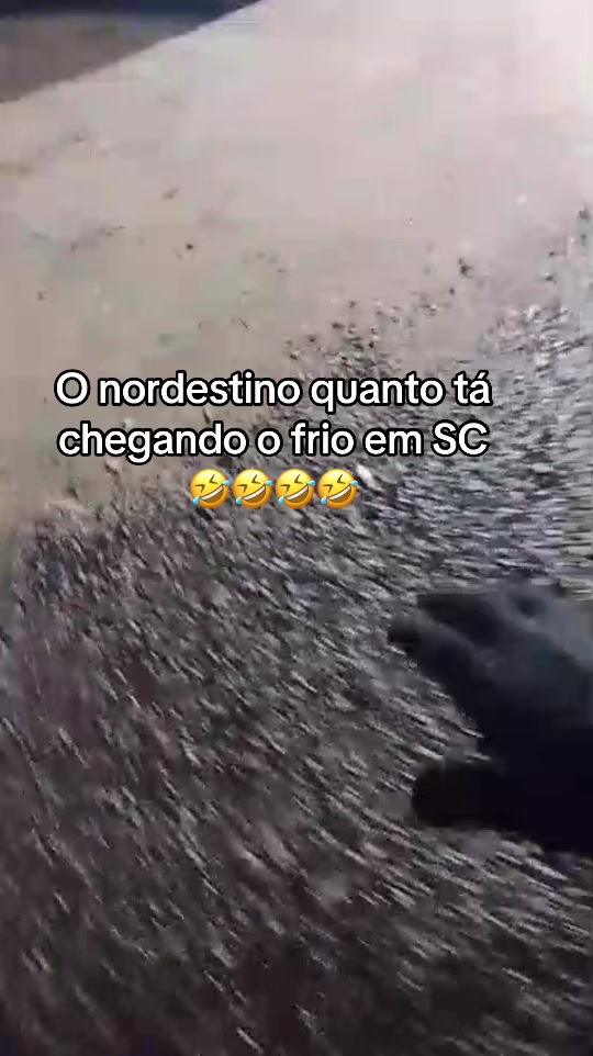 @Camaleão69🦎