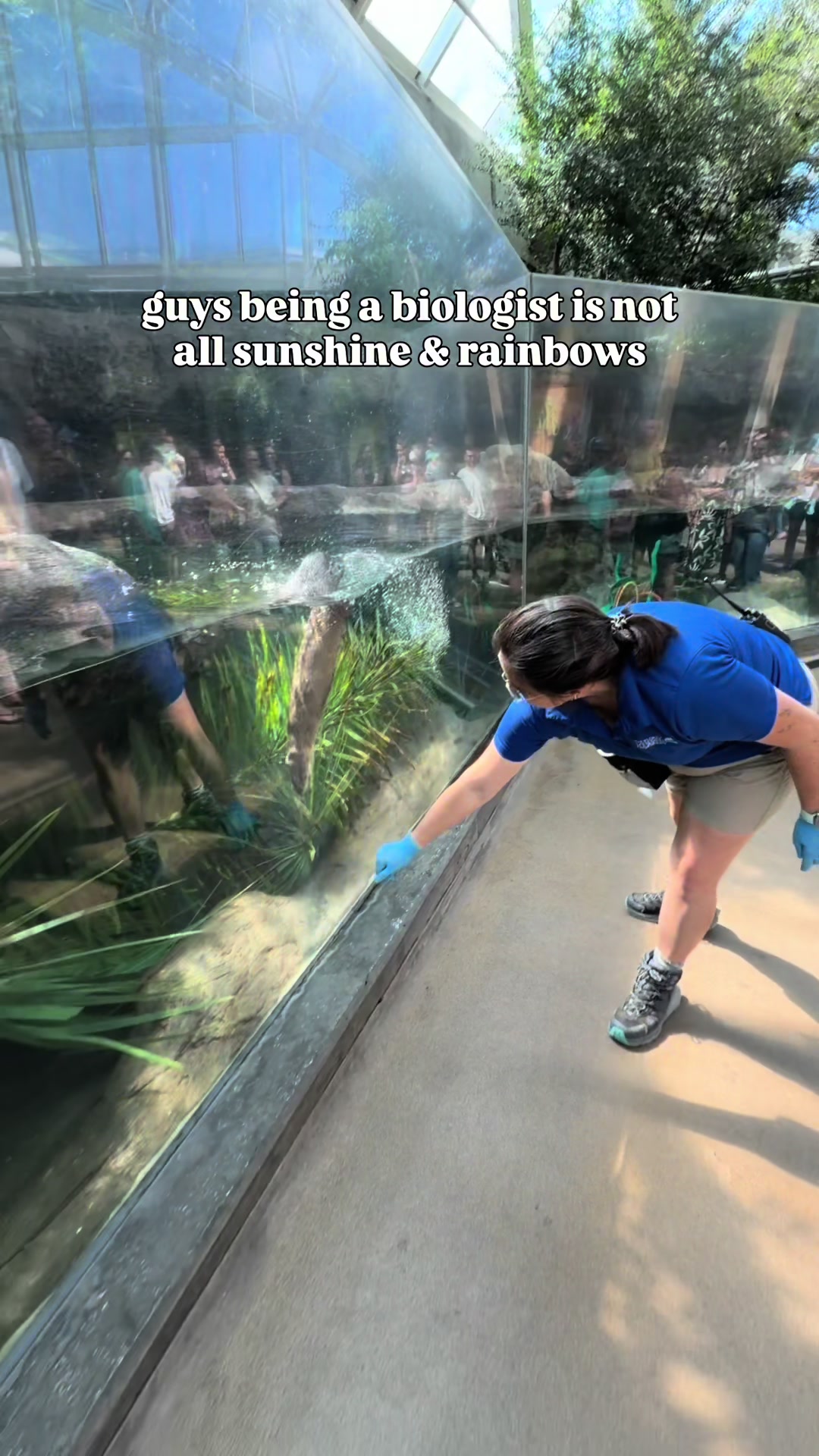 @The Florida Aquarium