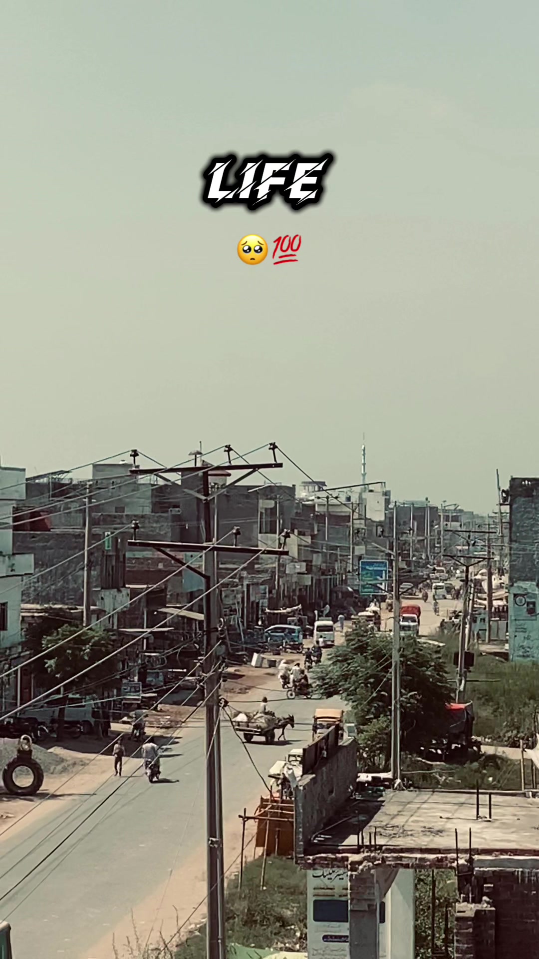 @🍁پنجاب_تے_پنجابی🍁