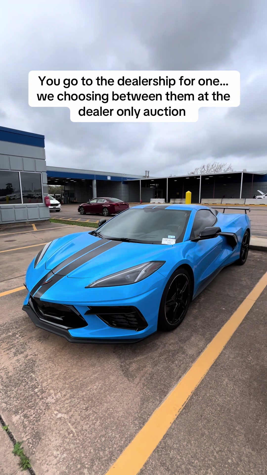 @Mr Mac Auction Plug/Car Dealer