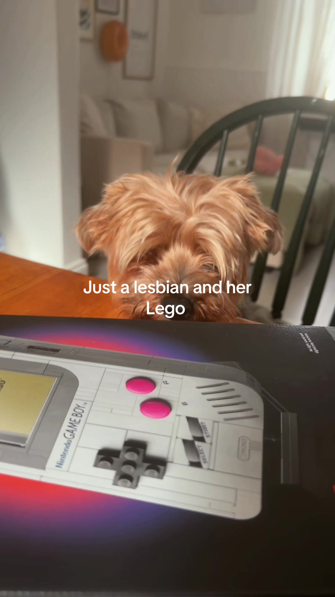 @Irelandsfavouritegay