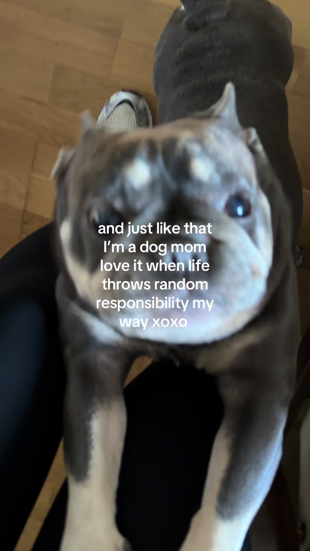 @Alizé