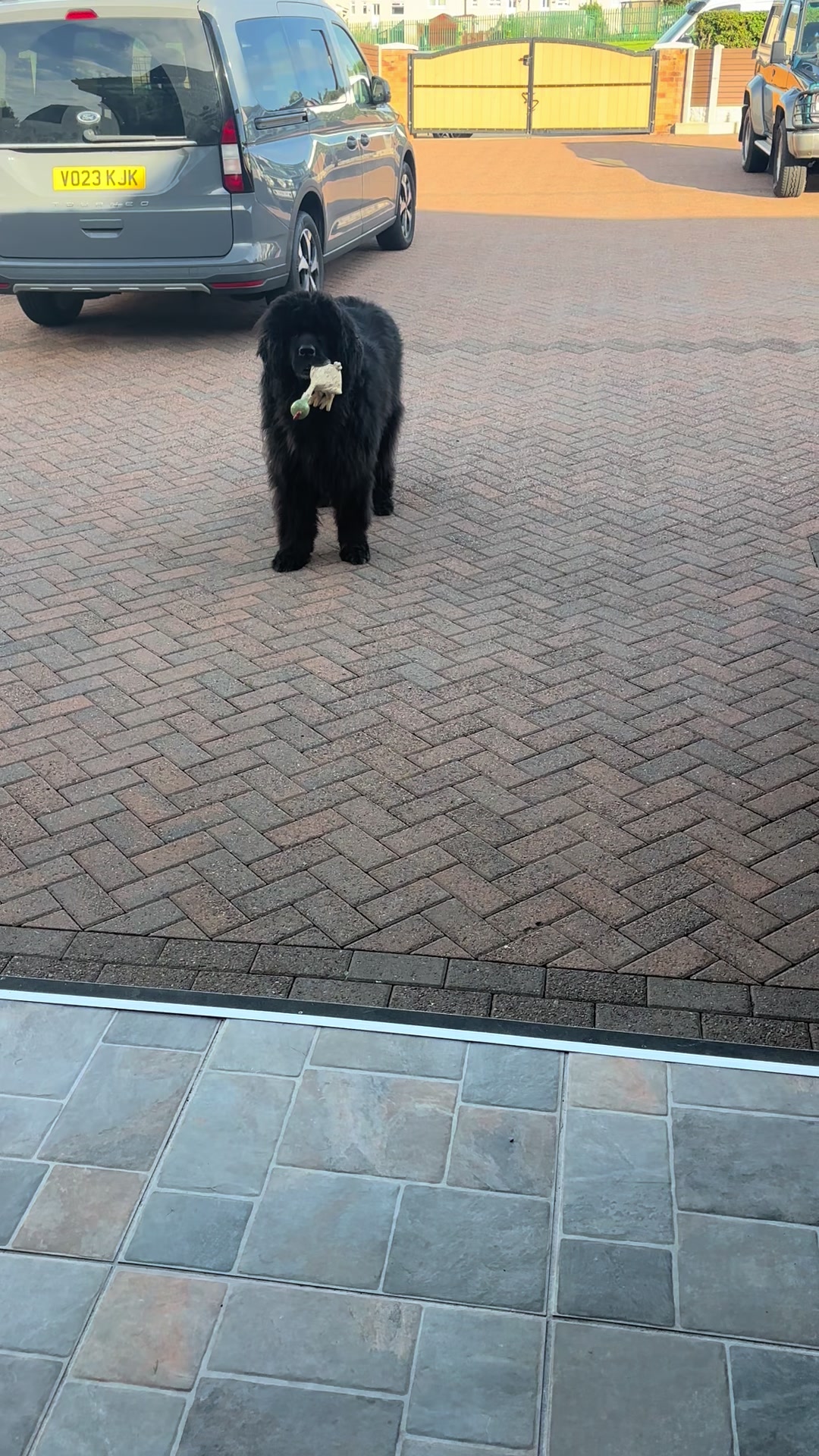 @Pablopoppypiperpoodle