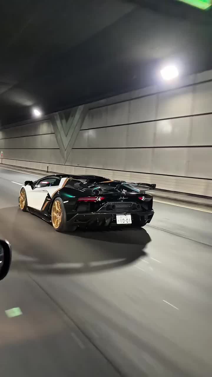@Smokeyandthebandit2025