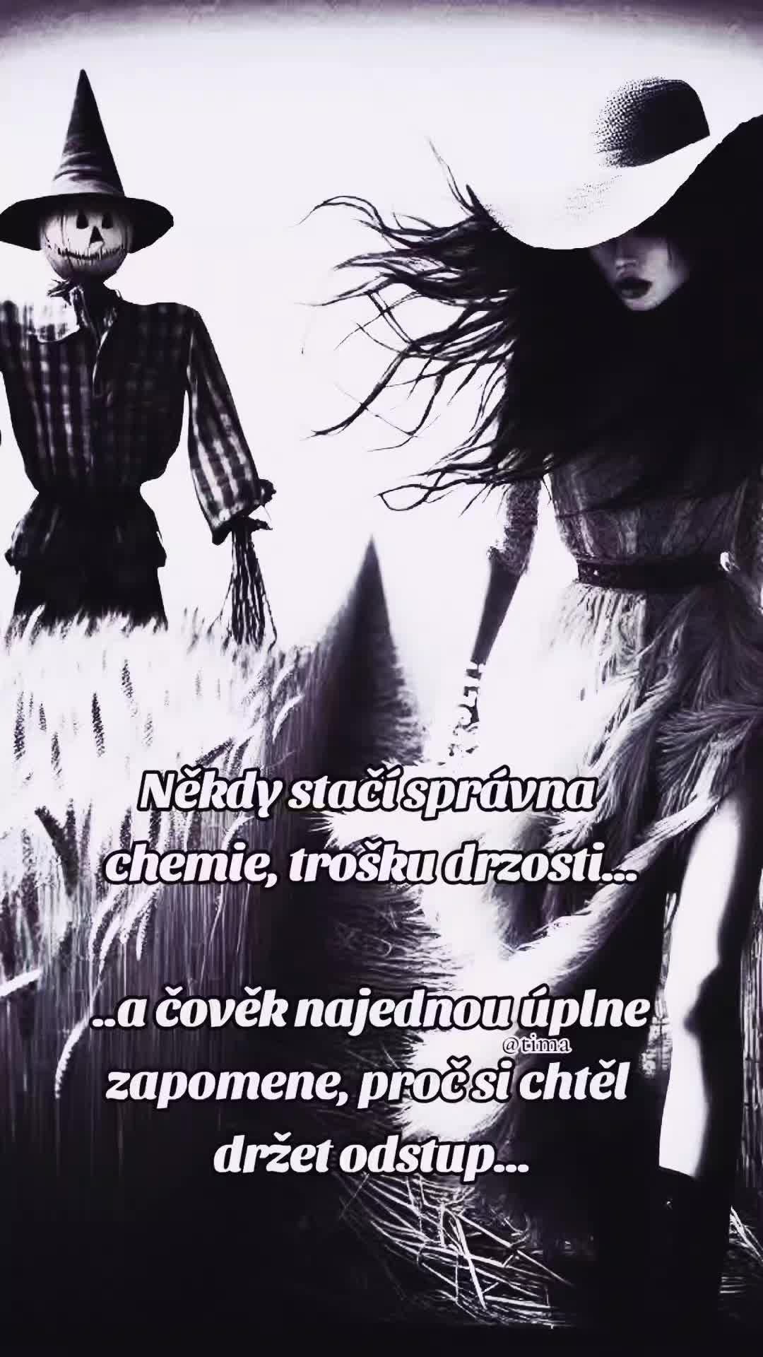 @Timka