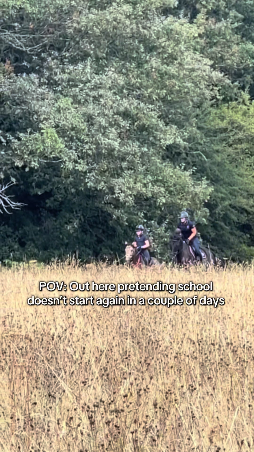 @AgirlandherShadow1