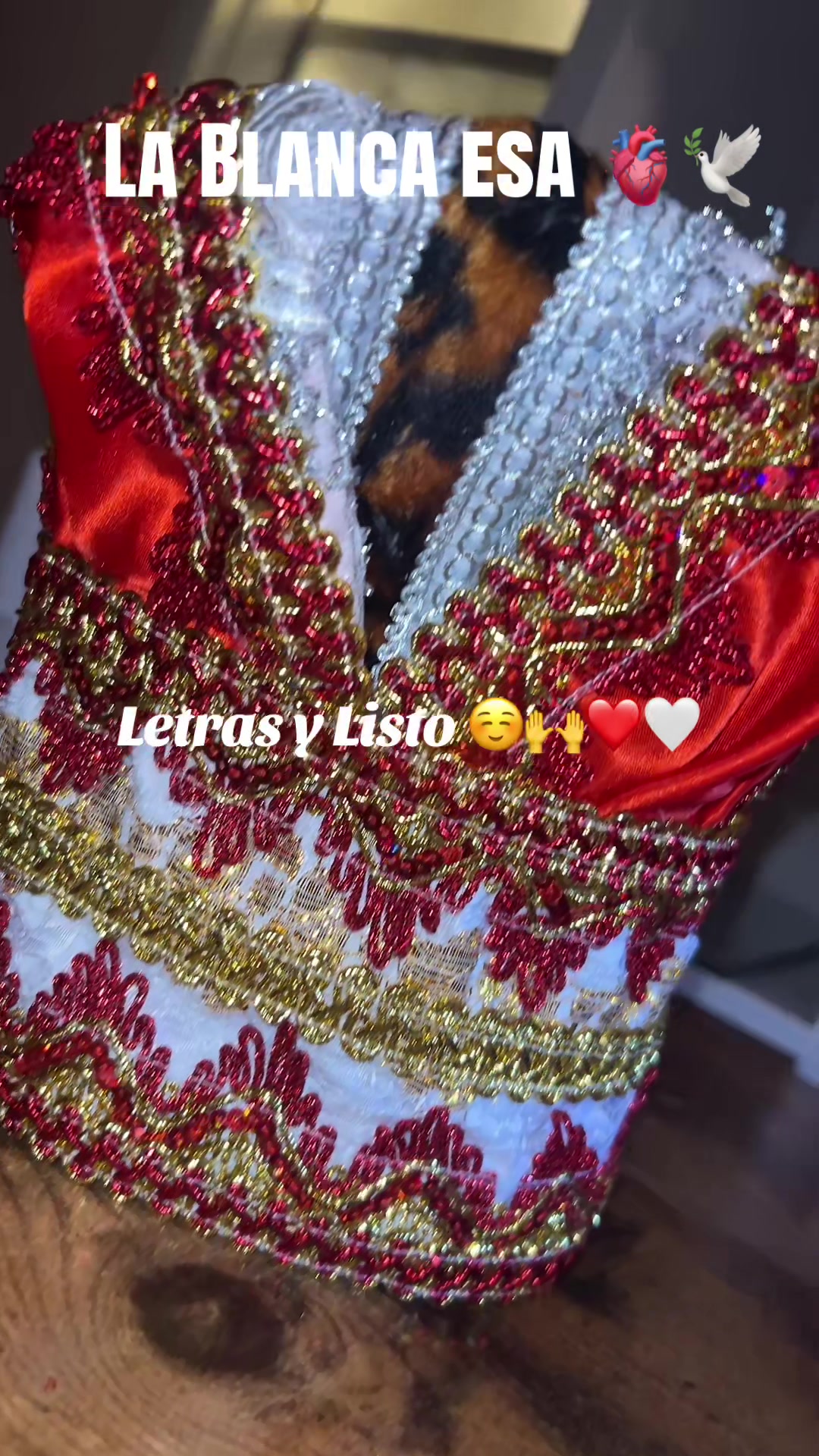 @Lacasadeeggun🤍🖤