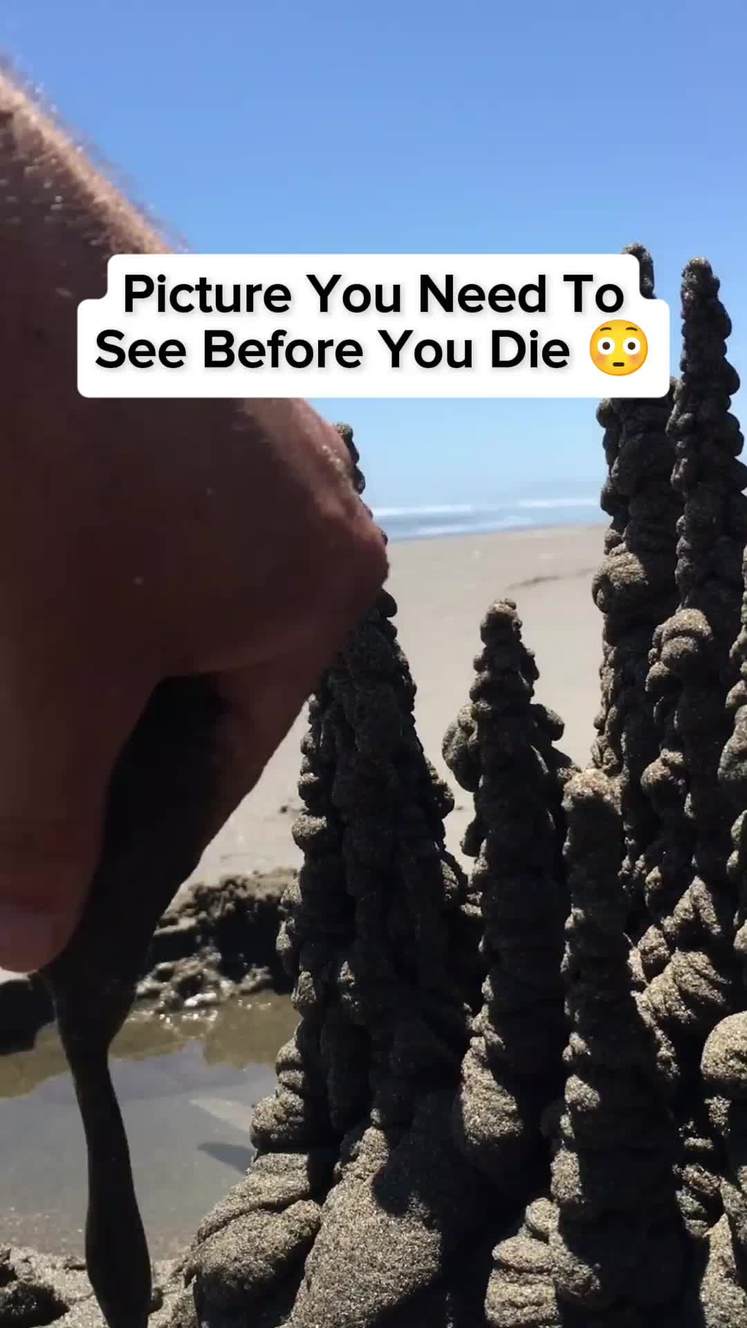 @horror videos
