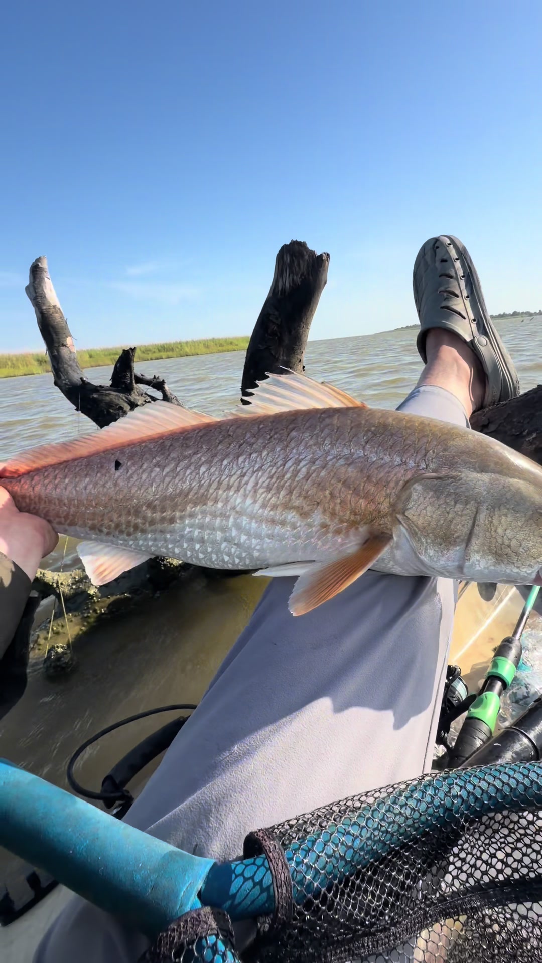 @LOW_BUDGET_FISHING