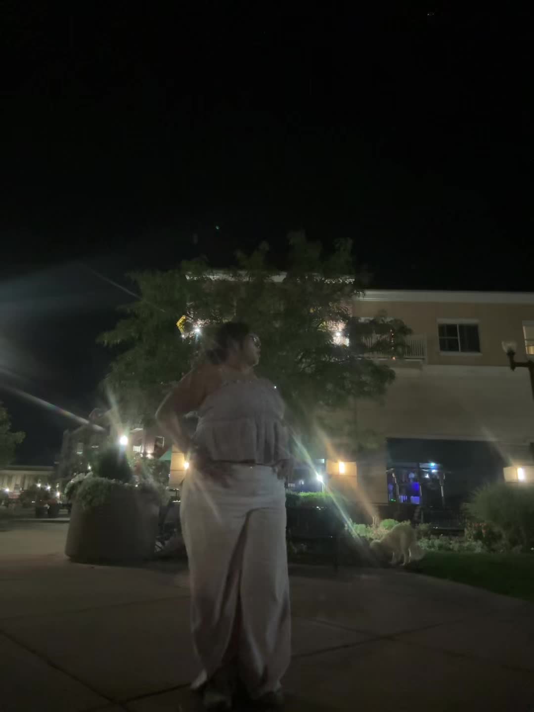 @brisacarrito