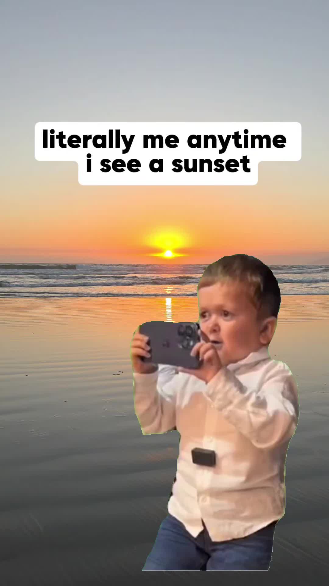 @Augustembersdesigns