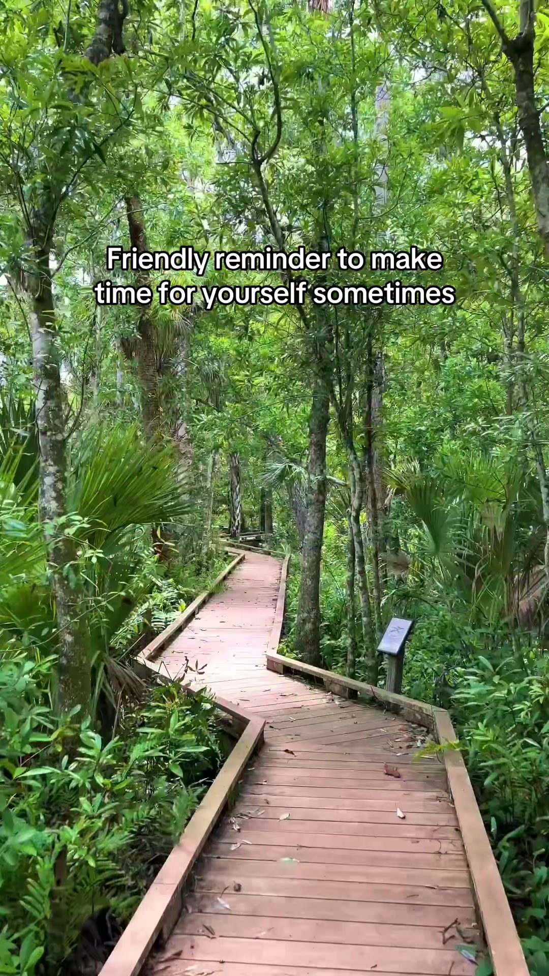 @Must See Florida