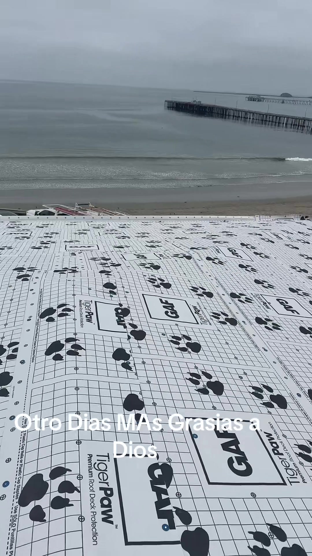 @Daniel 776