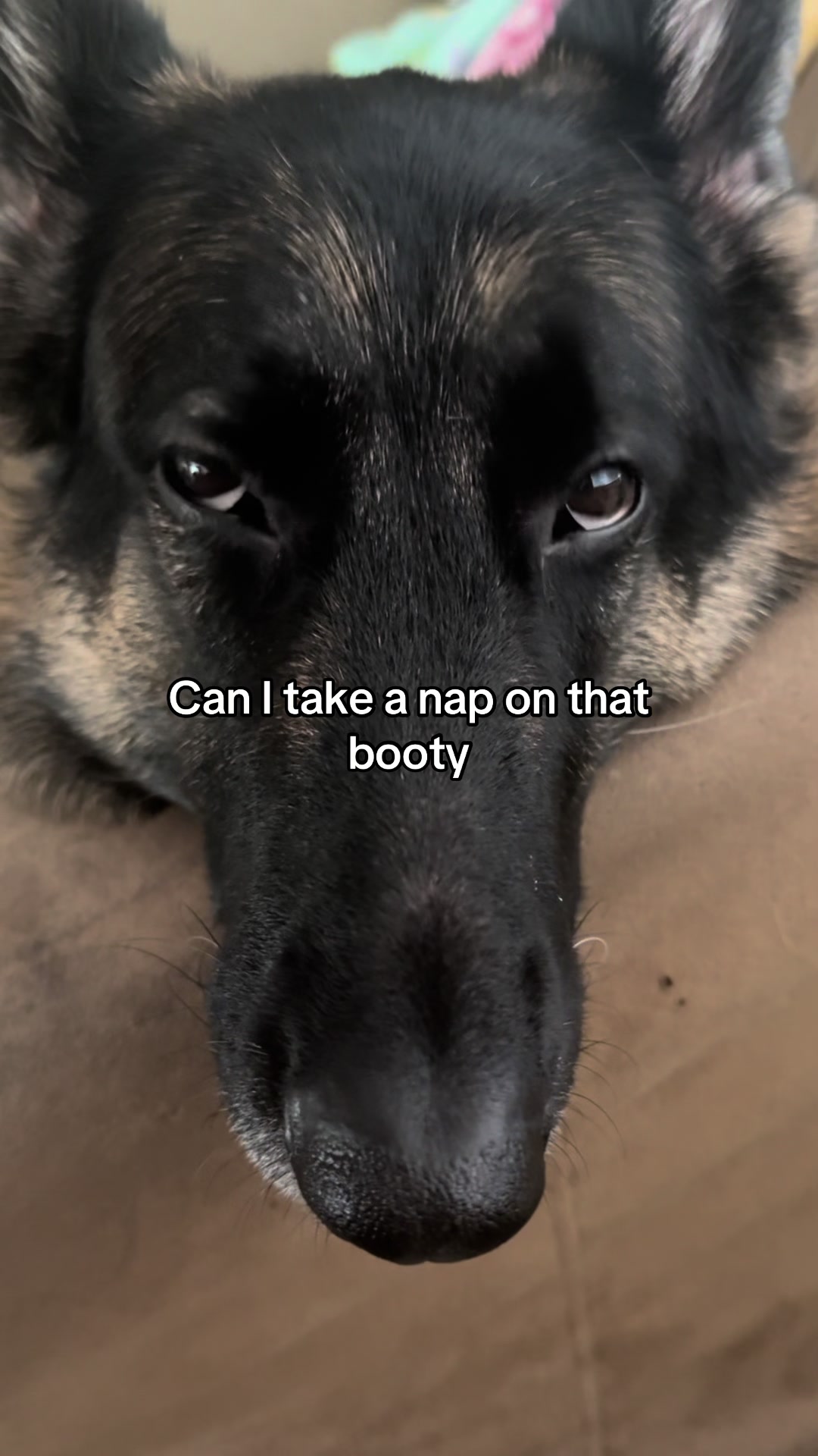 @Bhris