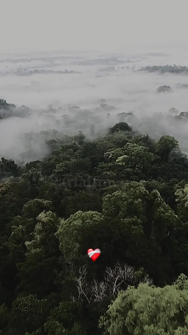 @ᶤᴹ𝐏𝐚𝐫𝐟𝐚𝐢𝐭𝐦𝐞𝐧𝚃𝚘𝚒ⓒ
