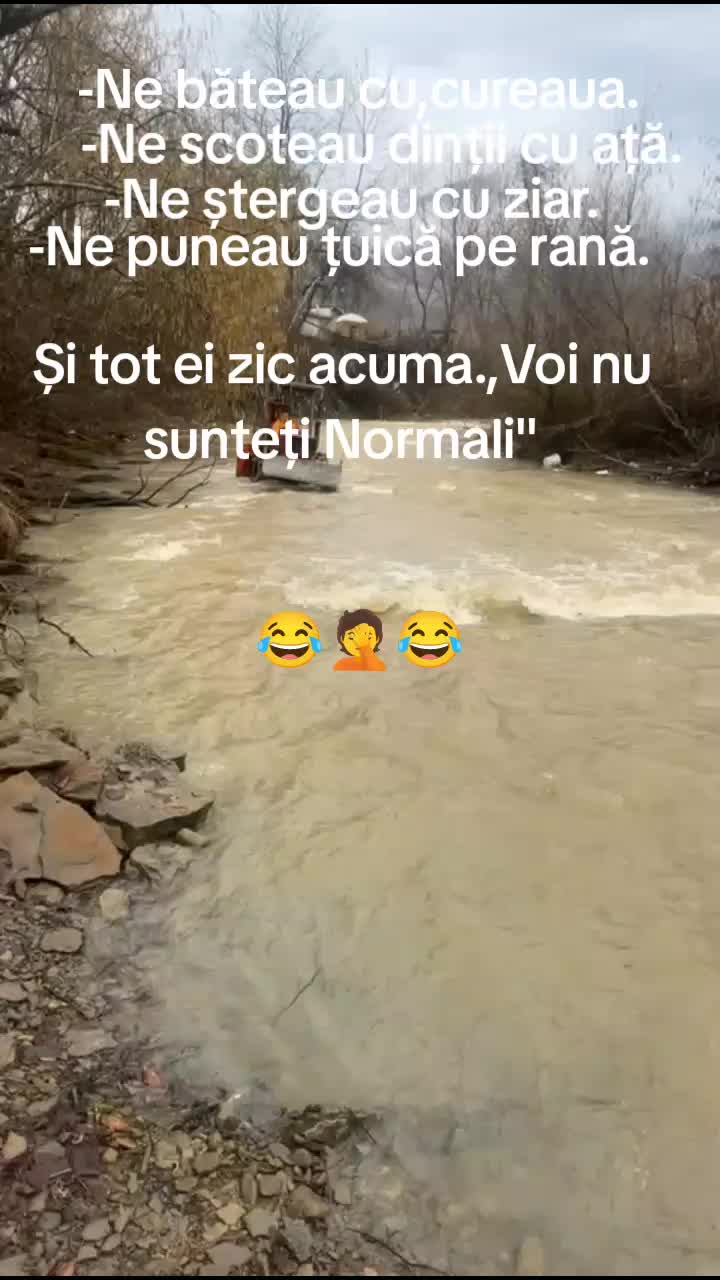 @Ilie Vasies