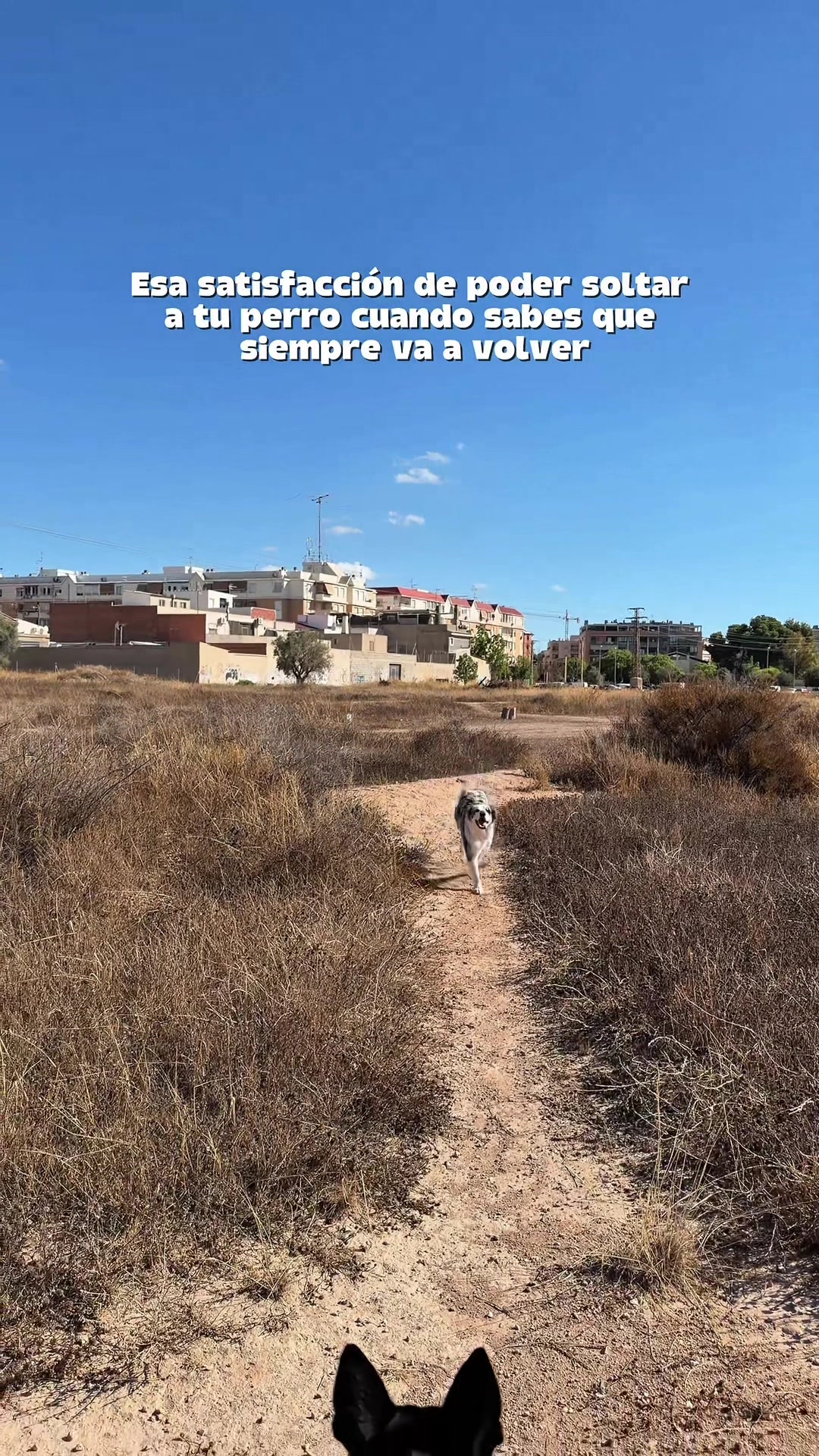 @Ares y Aura
