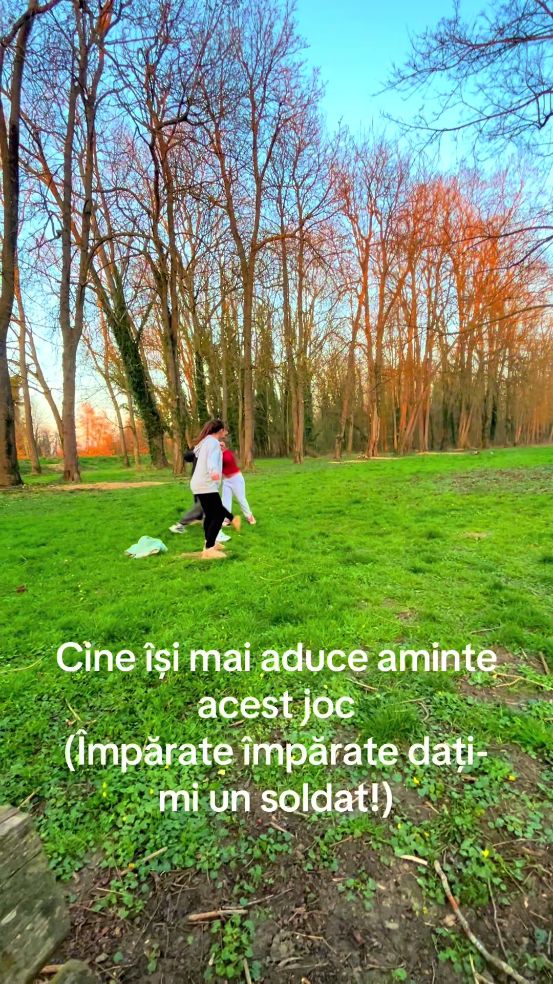 @Nina Cernea