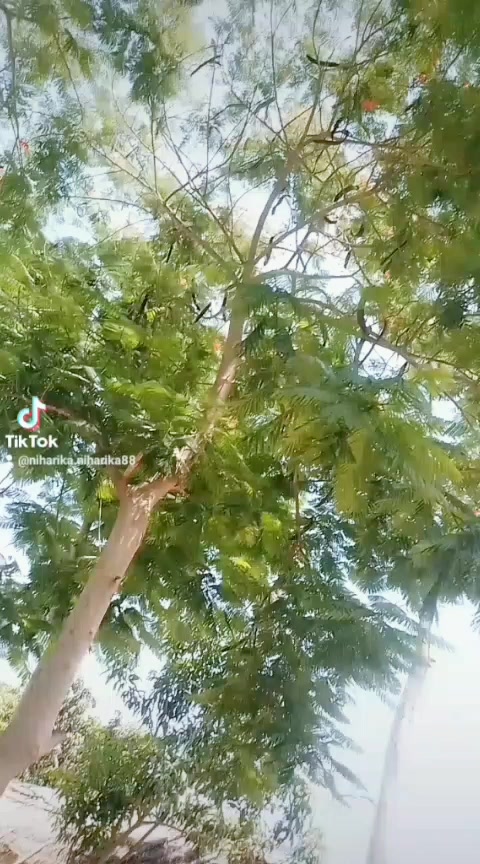 @Niharika Niharika