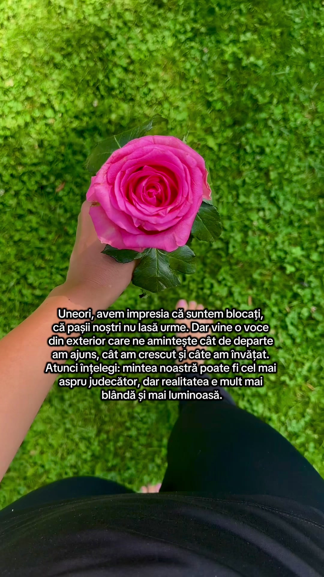 @Andreea Elena Rogoz