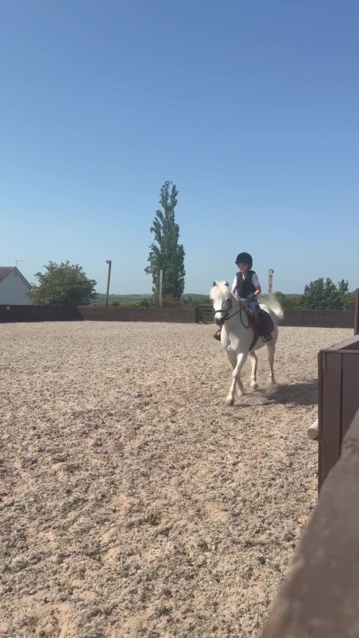 @LottiesHorseAdventures🦄🐴
