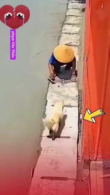 @Phạm Văn Thảo