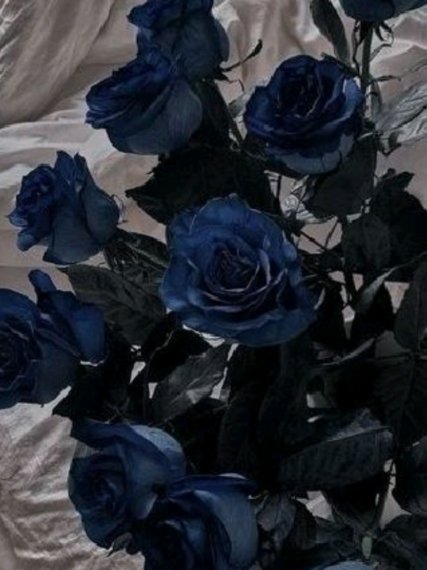 @♯ // Akiharu. ִֶָ.𓂃 ࣪ ִֶ