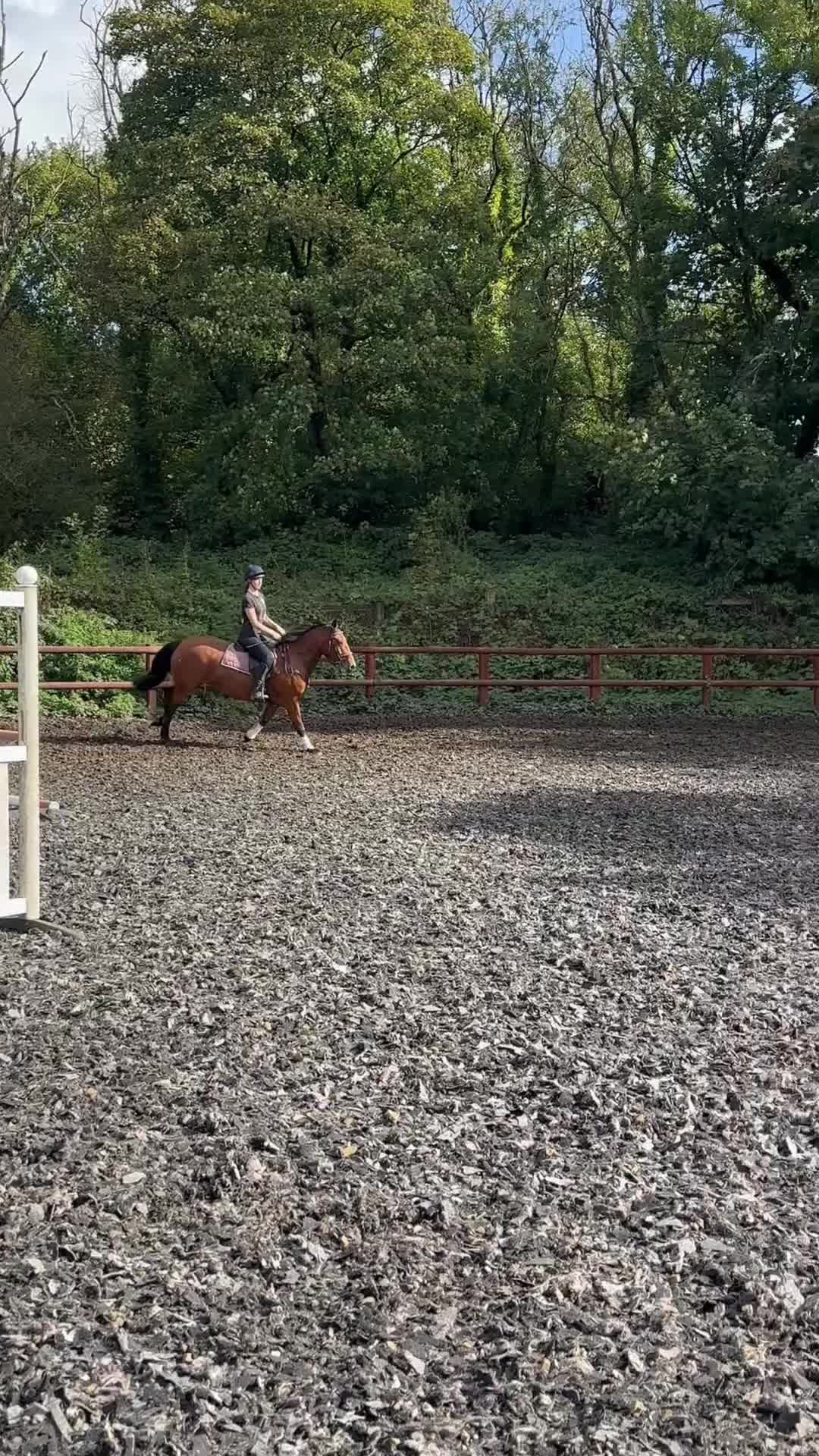 @amelia_showjumping2