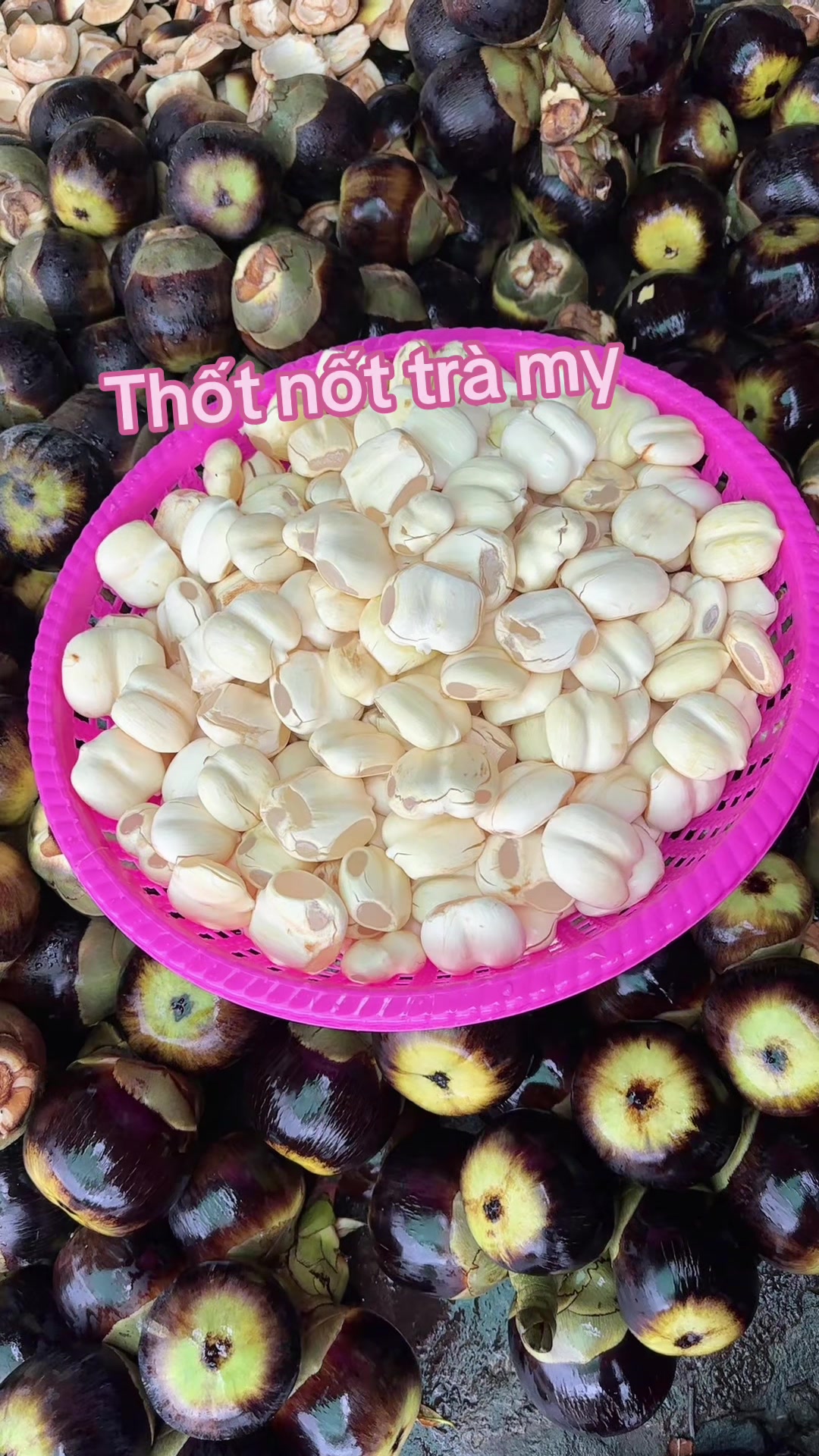 @Thốt nốt trà my