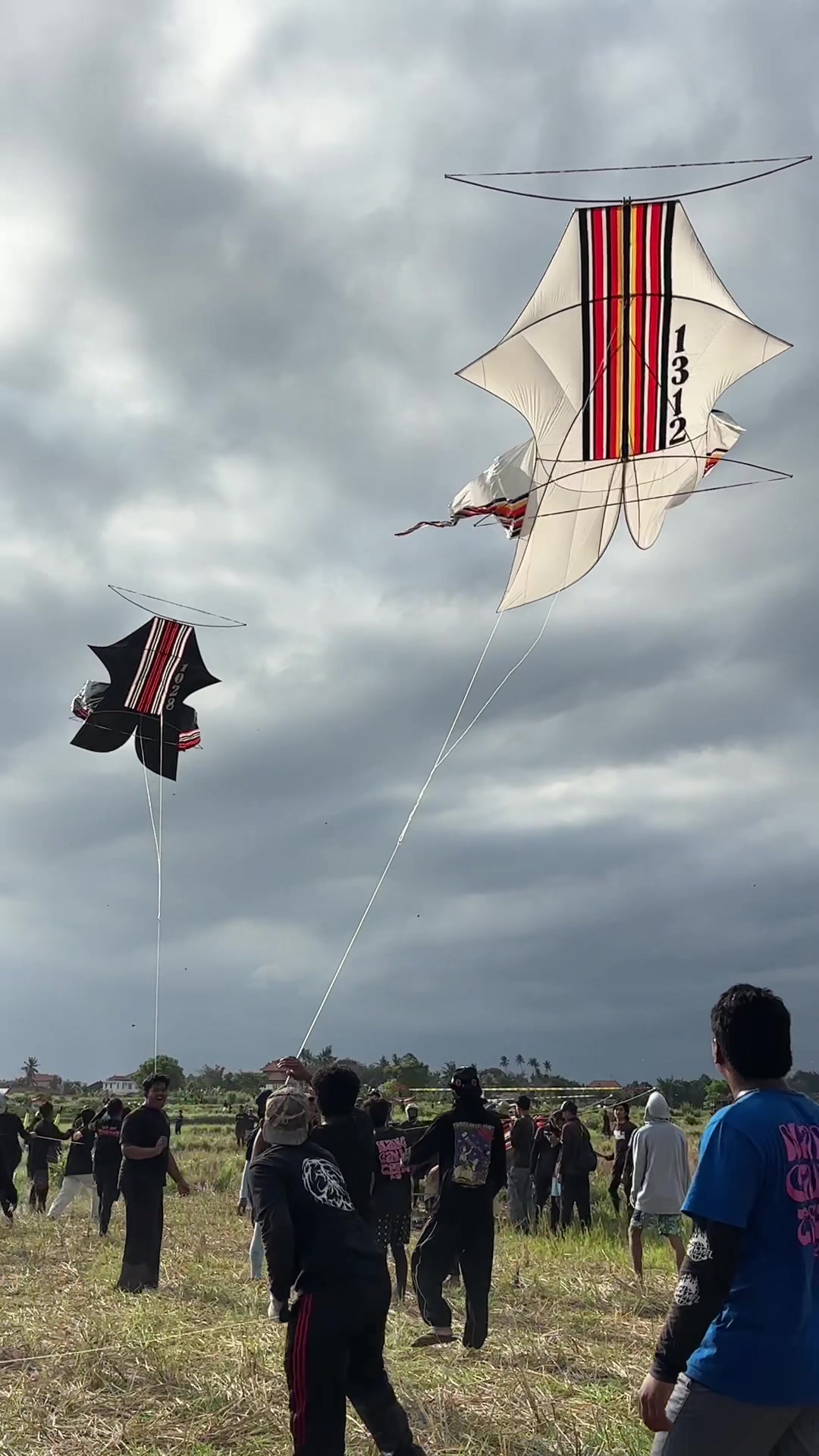 @Belaluan_kite _festival