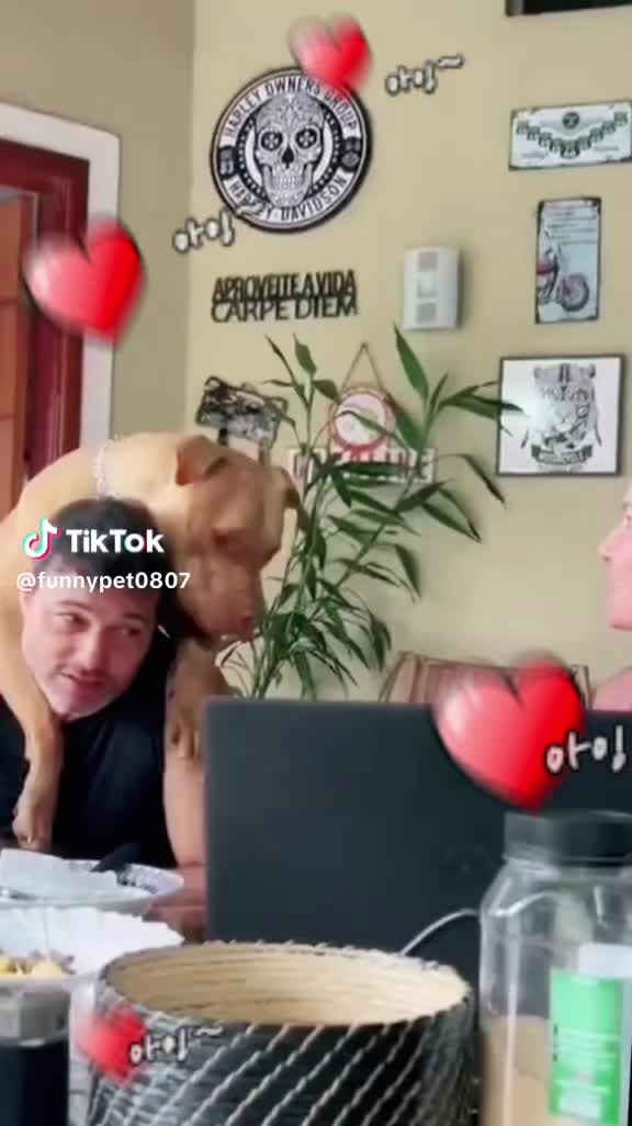 @Bangyika