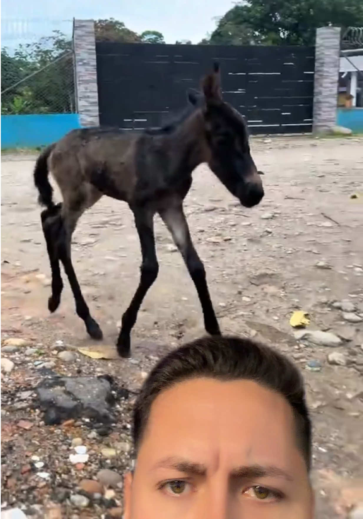 @Antonyviews⚡️