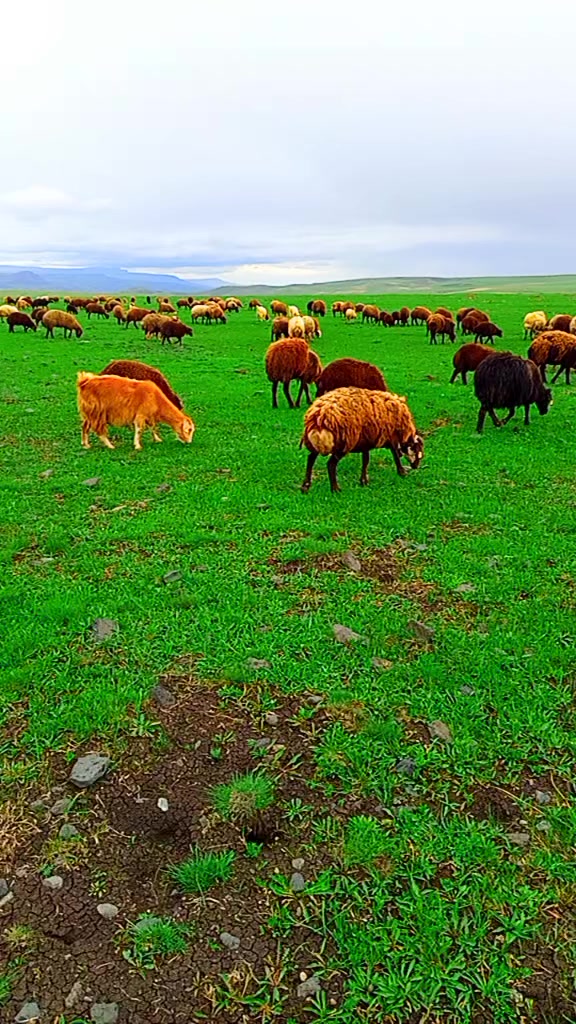 @sezer aydın