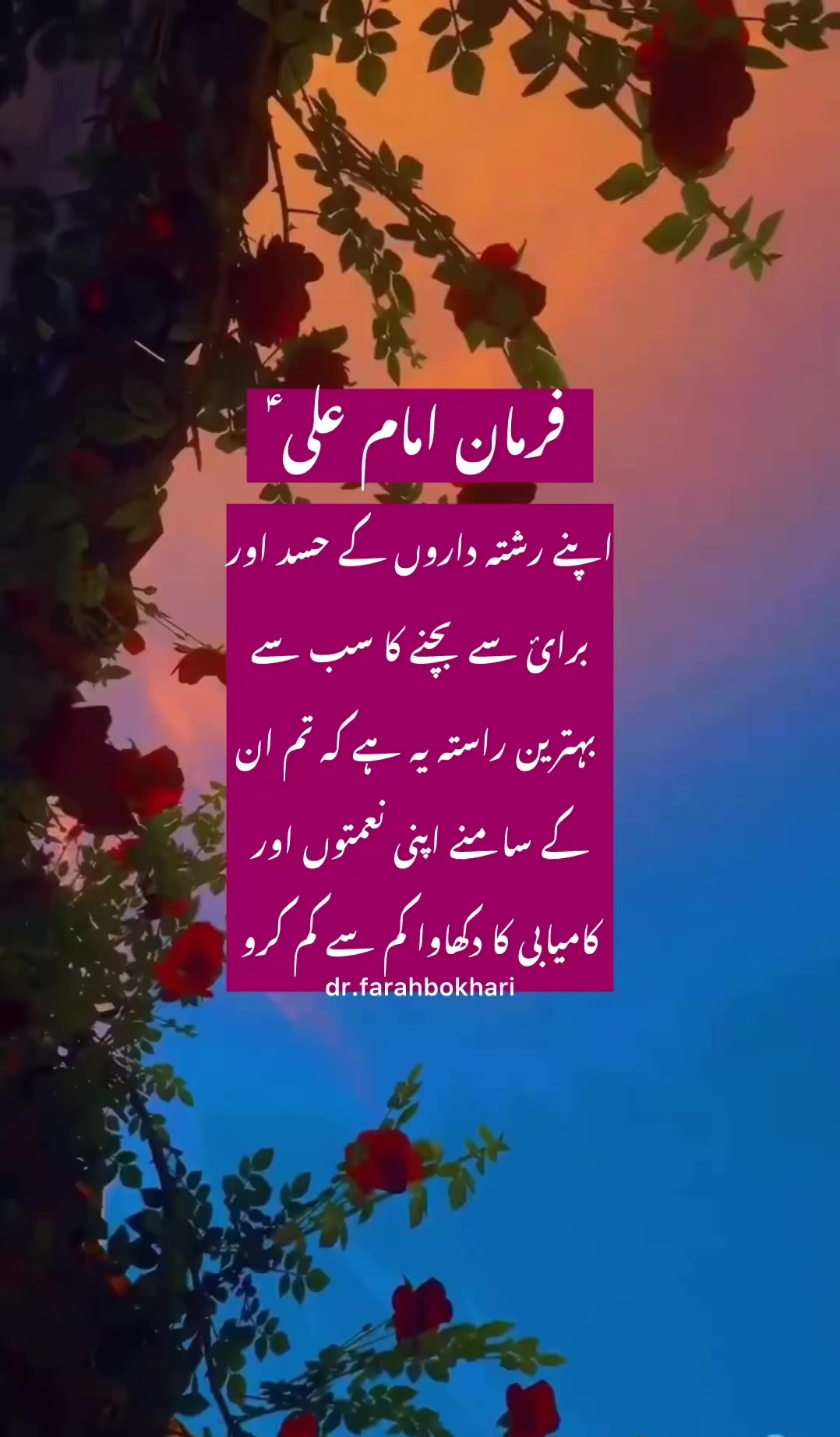 @dr.farahbokhari