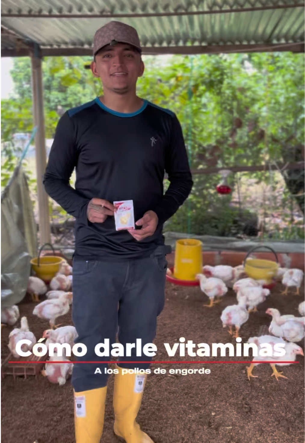 @elmagnatedelospollos