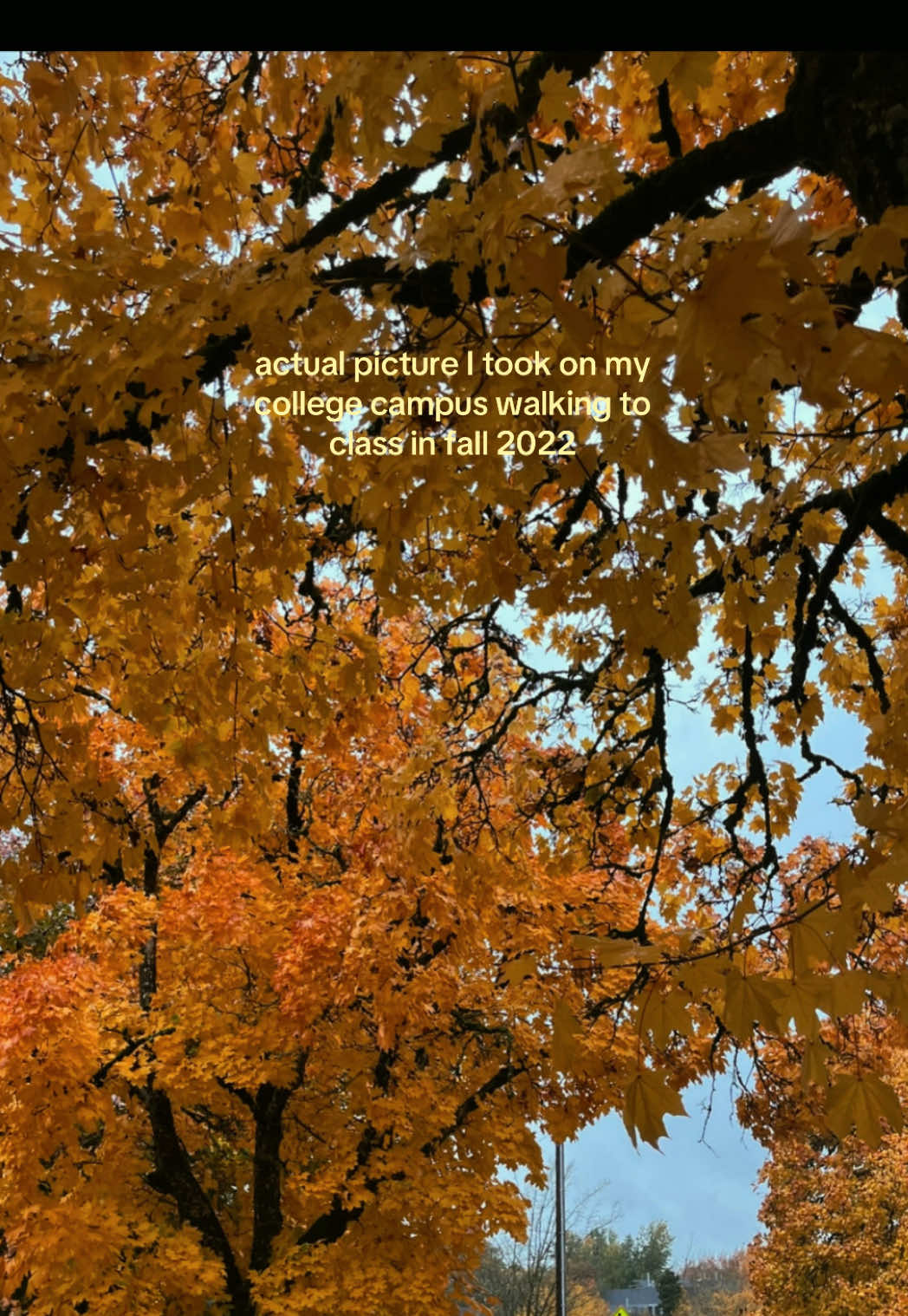 @SARAH ⋆˚𖤓˖°