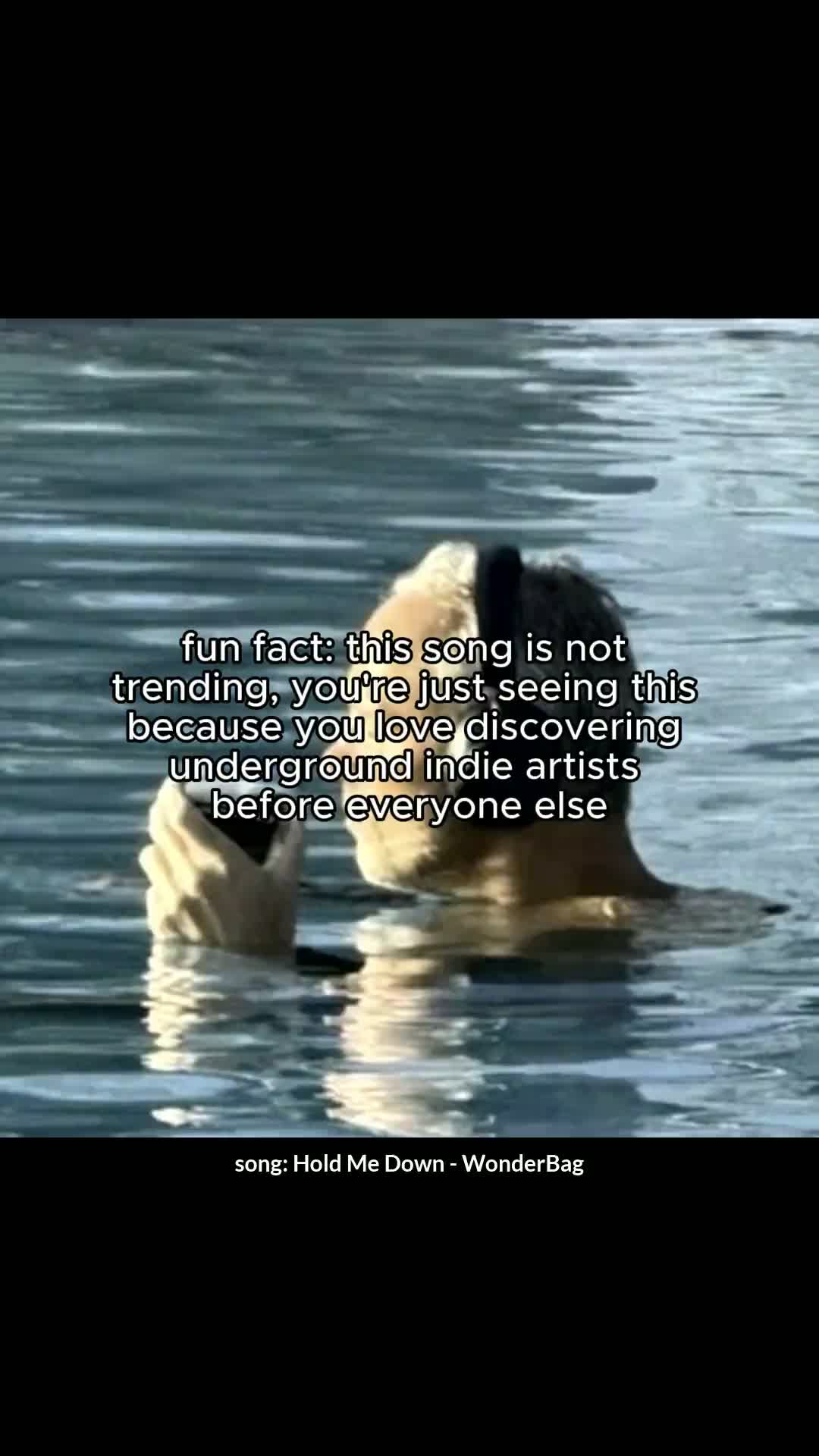 @astrofliptrinity