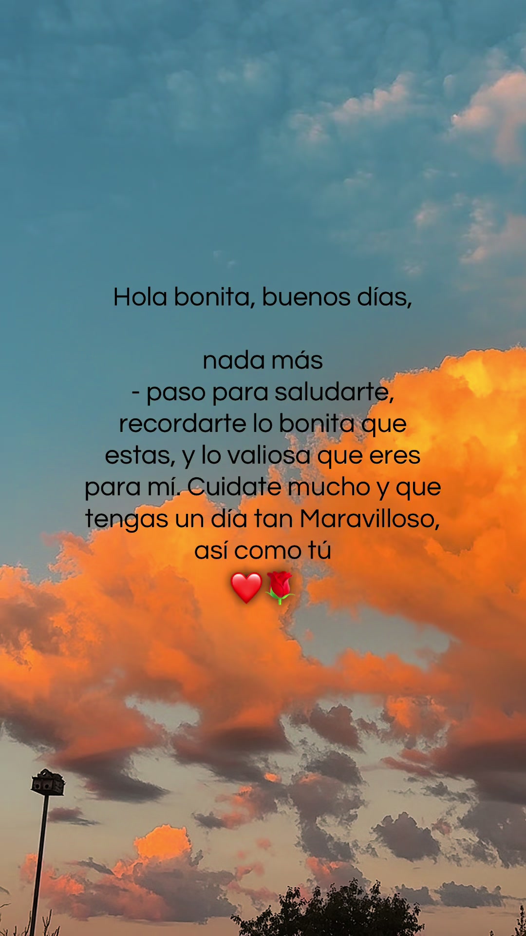 @colvinhz♪♩♬