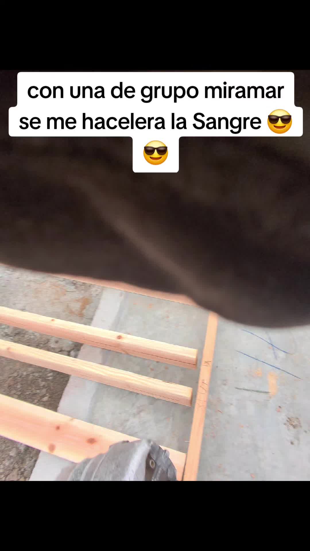 @pollo 🐣