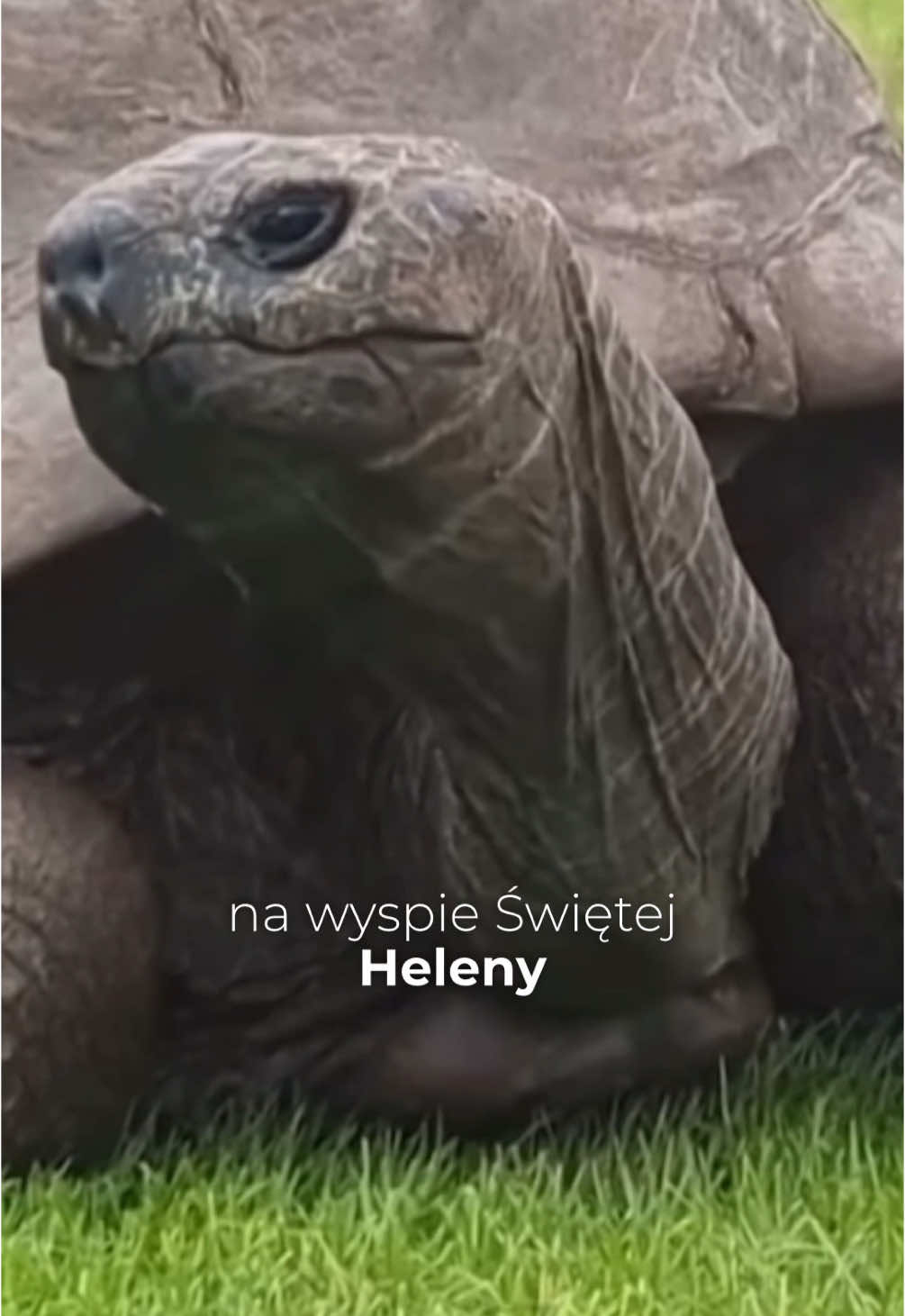 @Przemek z To Już Historia